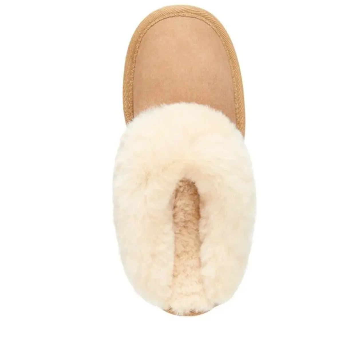 Emu Australia - Platinum Eden Adult Slipper (Chestnut)