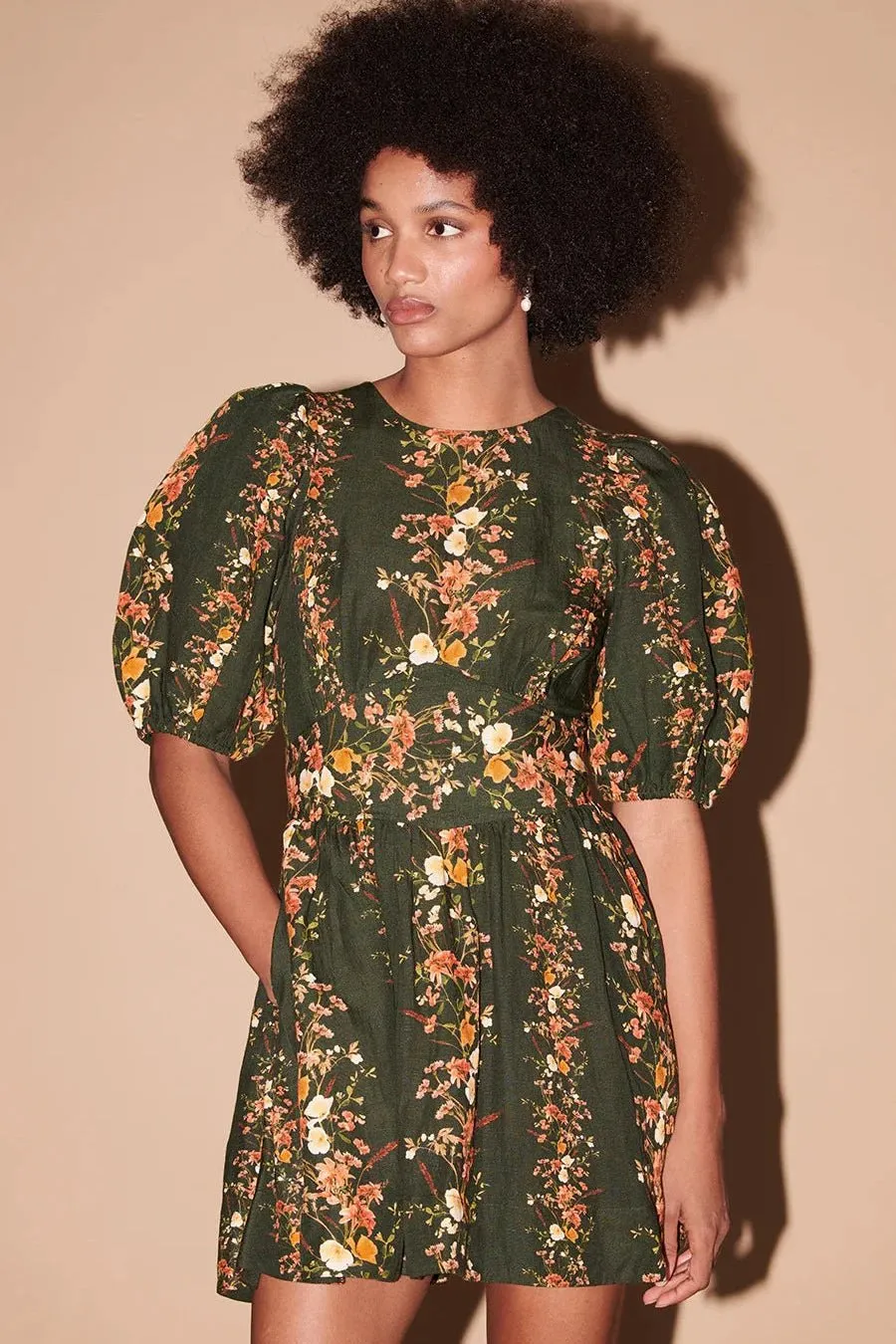 Roseanne Floral Stripe Mini Dress